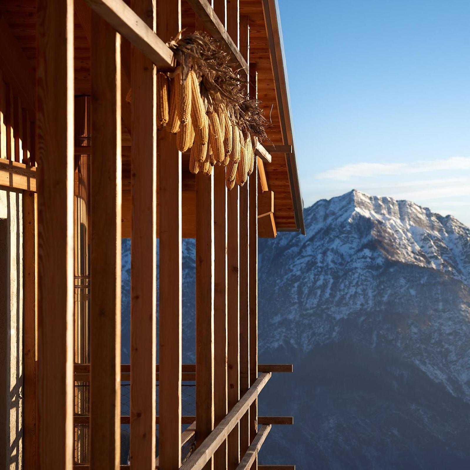Nif: Alpine Taste Hotel Levico Terme Exterior foto